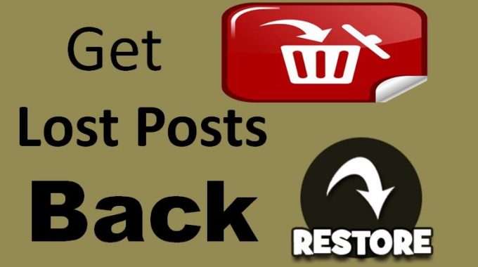 How to restore Deleted or Lost Posts by Hosting?