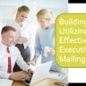 Effective IT Executives Mailing List