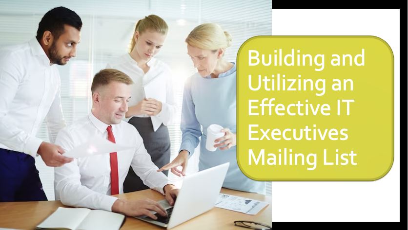Effective IT Executives Mailing List