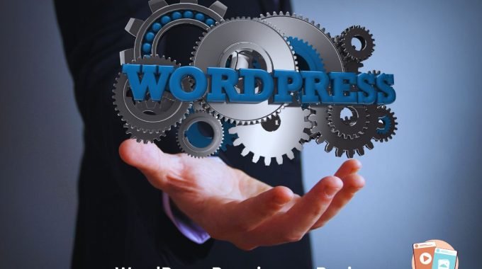 Difference Between Premium and Business WordPress
